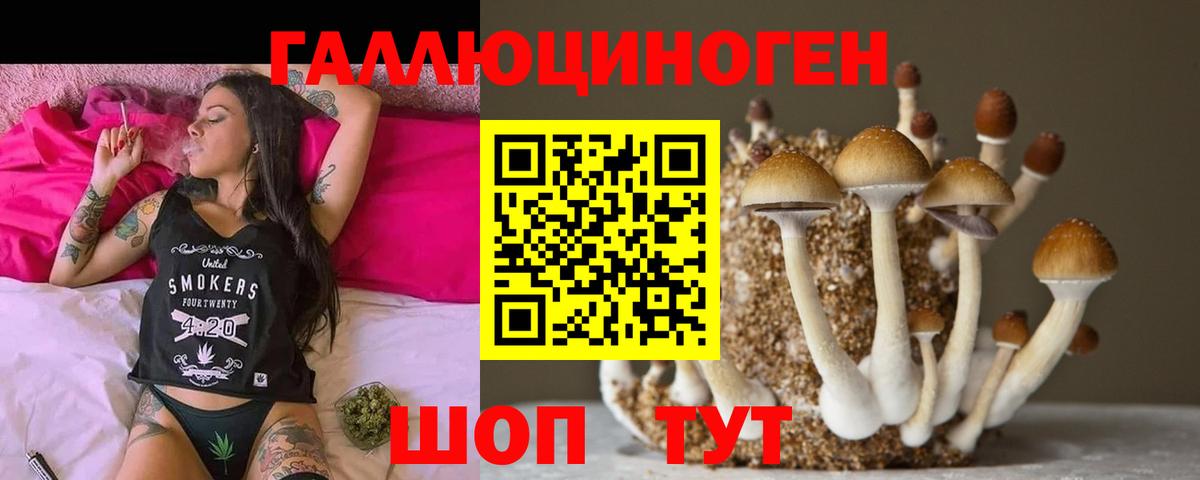 Псилоцибиновые грибы Psilocybine cubensis Белгород